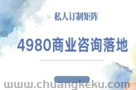 4980商业咨询师落地课程-ip运营高客单教程