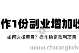 （3217期）新手如何通过操作副业增加收入，从项目选择到玩法分享！【视频教程】