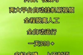 抖音视频号两大平台自动运行，全程脱离人工，自动获取收益，一天3张+，多机多挣，上不封顶【揭秘】