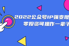 （2460期）2022公众号IP强变现项目，零投资可操作一辈子