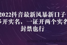 （2730期）2022抖音最新风暴新口子：多开实名，一整开两个实名，封禁也行