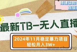 【最新TB-无人直播】11月最新，打造你的日不落直播间，轻松月入过W【揭秘】