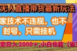 淘宝无人直播带货最新玩法，独家技术不违规，也不封号，全自动运行，只需挂着，  稳定日入2k【揭秘】