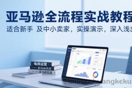 亚马逊全流程实战教程，适合新手及中小卖家，实操演示，深入浅出