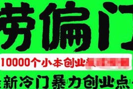 （5750期）千款捞偏门小本创业小项目，总有一款适合你【无水印】