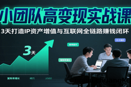 小团队高变现实战课，3天打造IP资产增值与互联网全链路赚钱闭环（第二期）