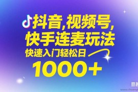（14899期）抖音，快手，视频号无脑连麦玩法！快速入门，单日稳冲1000+