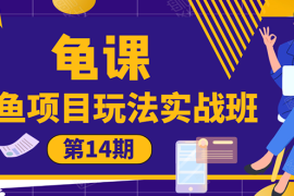 （1479期）龟课《闲鱼项目玩法实战班第14期》批量细节玩法，一个月收益几万