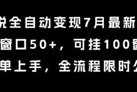小说全自动变现7月玩法，单窗口50+，可挂100窗口，简单上手，全流程限时公布【揭秘】