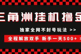 （15289期）三角洲全自动挂机，独家不封号玩法，单窗口20+，新手小白轻松一天500+，无脑搬砖