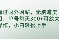 通过国外网站，无脑赚美刀，单号每天300+可放大操作，小白轻松上手【揭秘】