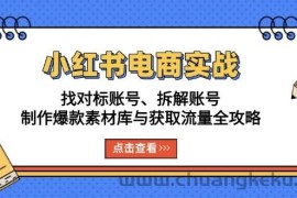 小红书电商实战：找对标账号、拆解账号、制作爆款素材库与获取流量全攻略