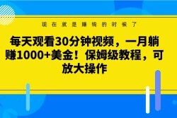 每天观看30分钟视频，一月躺赚1000+美金！保姆级教程，可放大操作【揭秘】