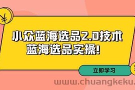 拼多多培训第33期：小众蓝海选品2.0技术-蓝海选品实操