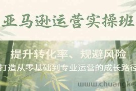 亚马逊运营实操班，提升转化率、规避风险，打造从零基础到专业运营的成长路径