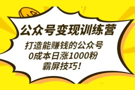 （4585期）公众号变现训练营（第3期）打造能赚钱的公众号，0成本日涨1000粉，霸屏技巧