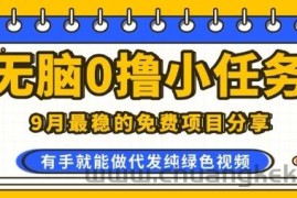 0学费0风险，2025风口项目，无脑免费撸，代发纯绿色视频，一部手机人人可做【揭秘】
