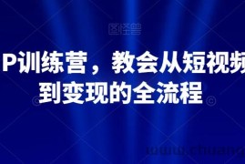 21天IP训练营，教会从短视频制作到变现的全流程