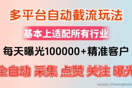 （12709期）小红书抖音视频号最新截流获客系统，全自动引流精准客户【日曝光10000+…