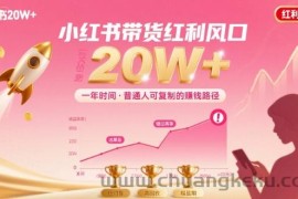 一年时间靠小红书带货项目年入20w+，最不能错的大红利项目