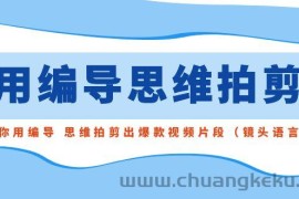 用编导的思维拍剪，教你用编导 思维拍剪出爆款视频片段（镜头语言）