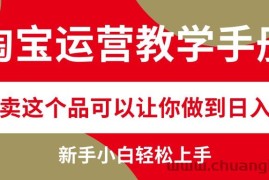 （12351期）淘宝运营教学手册，在淘宝卖这个品可以让你做到日入2000+，新手小白轻…