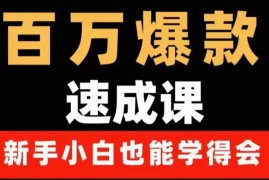 （3911期）百万爆款速成课：用数据思维做爆款，小白也能从0-1打造百万播放视频