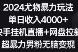 2024尤物暴力玩法，单日收入4000+，快手挂机直播+网盘拉新，超暴力男粉无脑变现【揭秘】