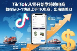 TikTok从零开始学跨境电商，教你从0-1快速上手TK电商，出海賺美刀