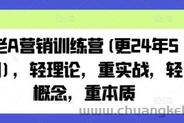 老A营销训练营(更24年7月)，轻理论，重实战，轻概念，重本质