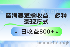 蓝海赛道撸收益，多种变现方式，日收益800+