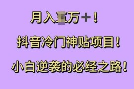 抖音冷门神贴项目，小白逆袭的必经之路，月入过W【揭秘】