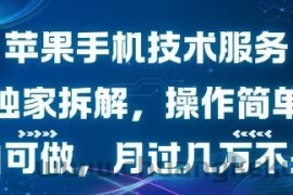 苹果手机技术服务，独家拆解，操作简单，小白可做，月过1W不是梦