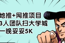 （1878期）地推+网推项目，3人团队扫大学城，一晚妥妥5K（6个项目）