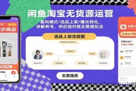 闲鱼淘宝无货源运营：盈利模式/选品上架/曝光转化，讲解养号、供应链对接及黑搜玩法