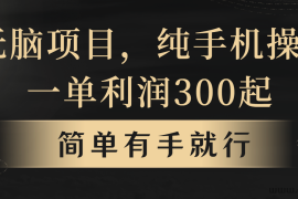 全网首发，翻身项目，年前最赚钱项目之一。收益翻倍！