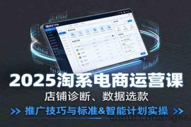 2025淘系电商运营课：店铺诊断、数据选款，推广技巧与标准&amp;智能计划实操