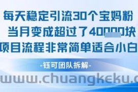 每天稳定引流30个人 当月变成超过了4个W项目流程非常简单适合小白