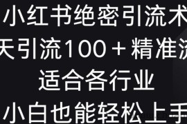 小红书绝密引流术，一天引流100+精准流量，适合各个行业，小白也能轻松上手【揭秘】