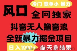 25年6月高爆抖音无人直播最新撸音浪掘金项目，解放双手小白可做，无脑日入1k+，门槛低【揭秘】