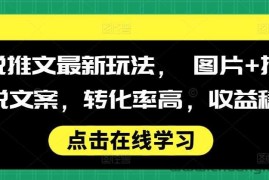 小说推文最新玩法， 图片+搭配小说文案，转化率高，收益稳定