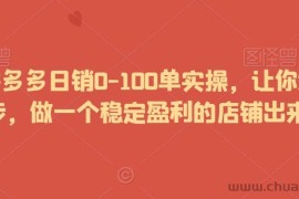 2024拼多多日销0-100单实操，让你迅速起步，做一个稳定盈利的店铺出来