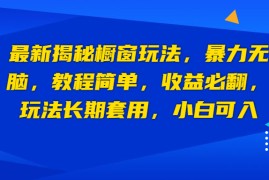 （6649期）最新揭秘橱窗玩法，暴力无脑，收益必翻，玩法长期套用，小白可入