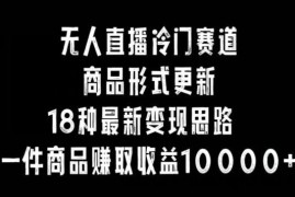 无人直播冷门赛道，商品形式更新，18种变现思路，一件商品赚取收益10000+【揭秘】