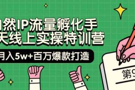 自然IP流量孵化手14天线上实操特训营【第9期】月入5w+百万爆款打造 (74节)