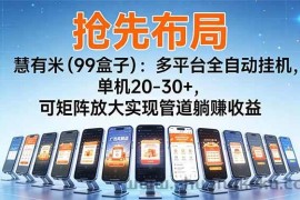 （16757期）【抢先布局】慧有米（99盒子）：多平台全自动挂机，单机20-30+，可矩阵放大实现管道躺赚收益