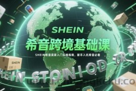 希音跨境基础课，SHEIN希音卖家入门实操指南，新手入坑希音必看