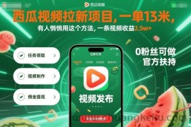 西瓜视频拉新项目，一单13米，有人悄悄用这个方法，一条视频收益2.5w+（附详细教程）