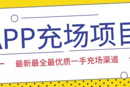 外面收费9800的APP充场项目，实操一天收入800+个人和工作室都可以做