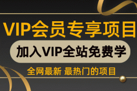 （1095期）2020最新独家脚本变现项目：被动引流一天进4000流量，可批量操作月赚几万